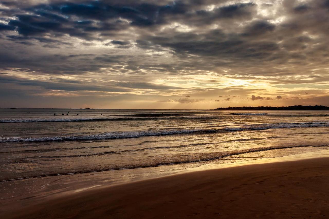 Отель The Surfer Sri Lanka - Surf Camp Велигама Экстерьер фото