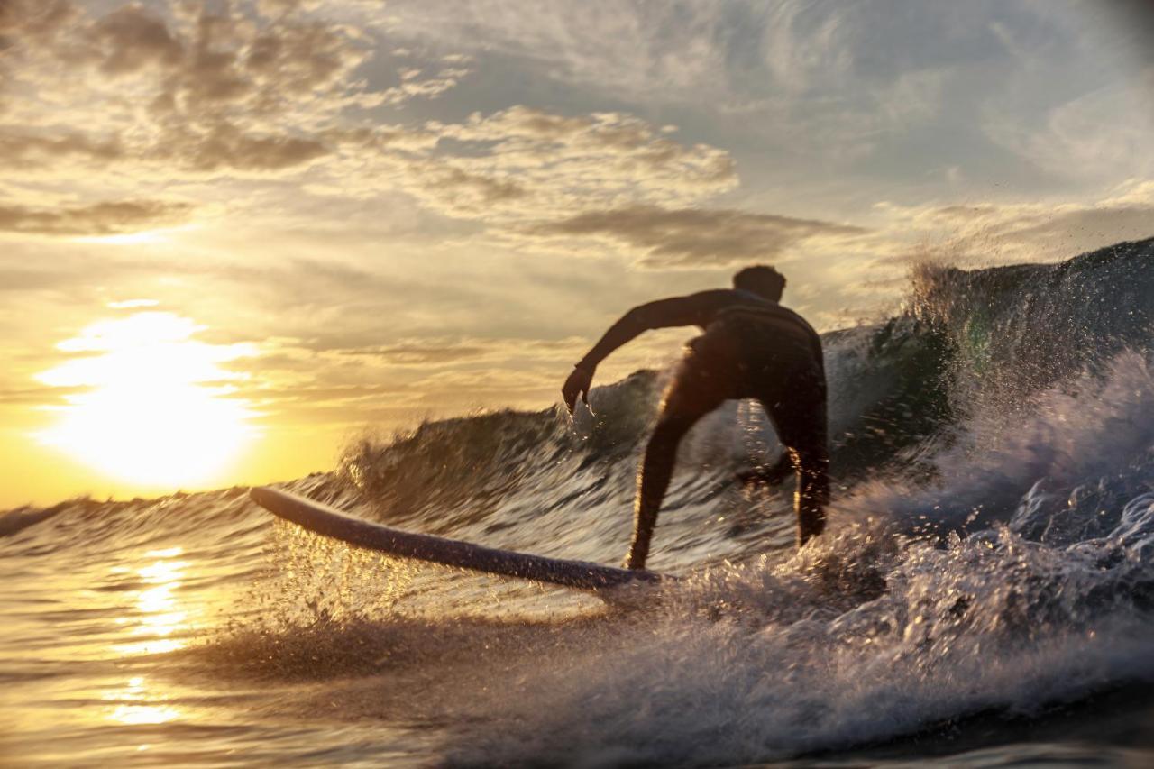 Отель The Surfer Sri Lanka - Surf Camp Велигама Экстерьер фото